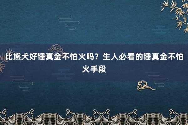 比熊犬好锤真金不怕火吗?生人必看的锤真金不怕火手段
